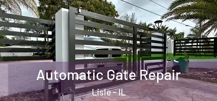 Automatic Gate Repair Lisle - IL