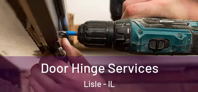 Door Hinge Services Lisle - IL