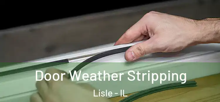 Door Weather Stripping Lisle - IL