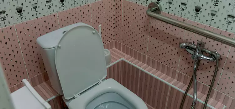 Meeting Diverse Needs With Accessible Restroom Solutions in Lisle, IL