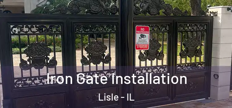 Iron Gate Installation Lisle - IL
