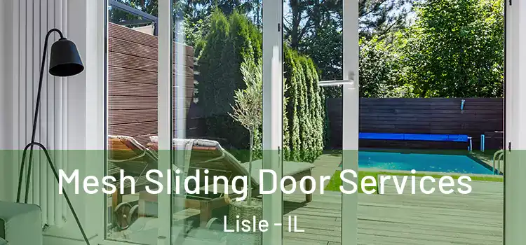 Mesh Sliding Door Services Lisle - IL